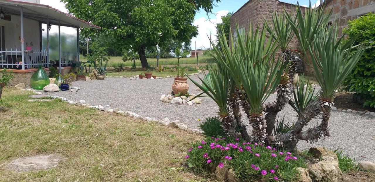 La Cascina Della Grotta Di Tufo Bed and Breakfast San Valentino  Buitenkant foto